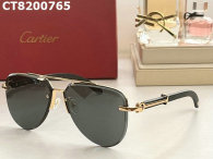 Cartier Sunglasses AAA (226)