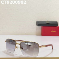 Cartier Sunglasses AAA (677)