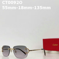 Cartier Sunglasses AAA (507)