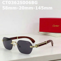 Cartier Sunglasses AAA (224)