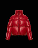 Moncler Down Jacket (30)