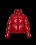 Moncler Down Jacket (30)