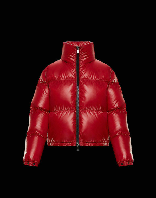 Moncler Down Jacket (30)