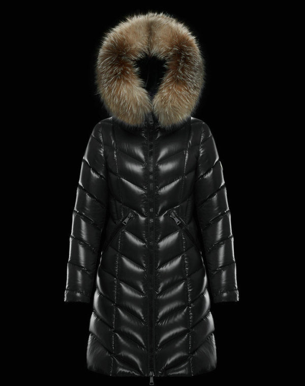 Moncler Down Jacket (75)