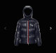 Moncler Down Jacket (42)