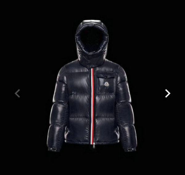 Moncler Down Jacket (42)