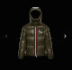 Moncler Down Jacket (19)