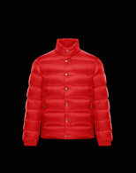 Moncler Down Jacket (35)