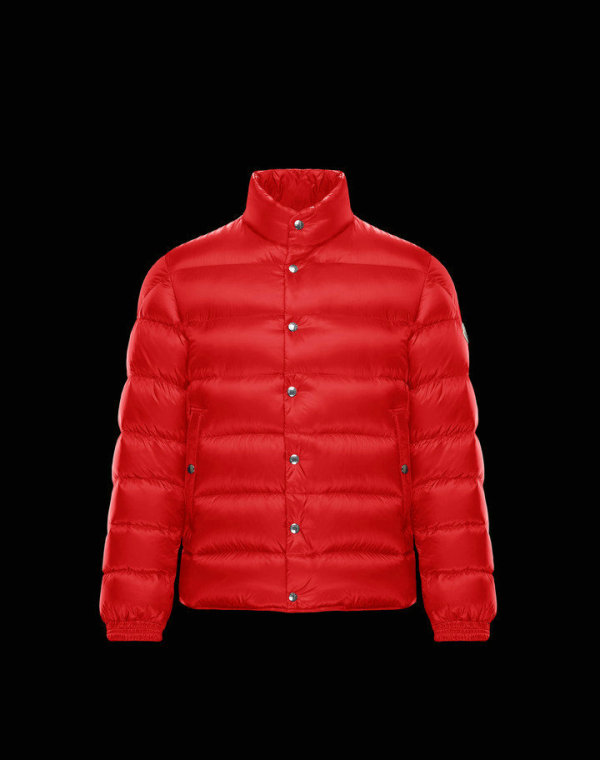 Moncler Down Jacket (35)