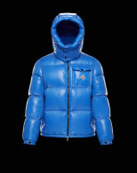 Moncler Down Jacket (43)