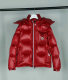 Moncler Down Jacket (51)