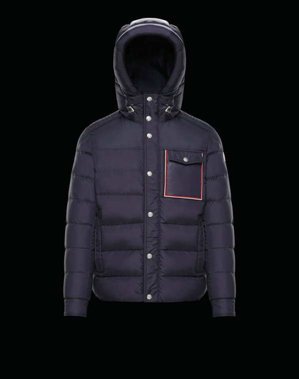 Moncler Down Jacket (41)