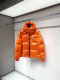 Moncler Down Jacket (48)