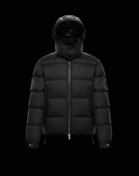 Moncler Down Jacket (15)
