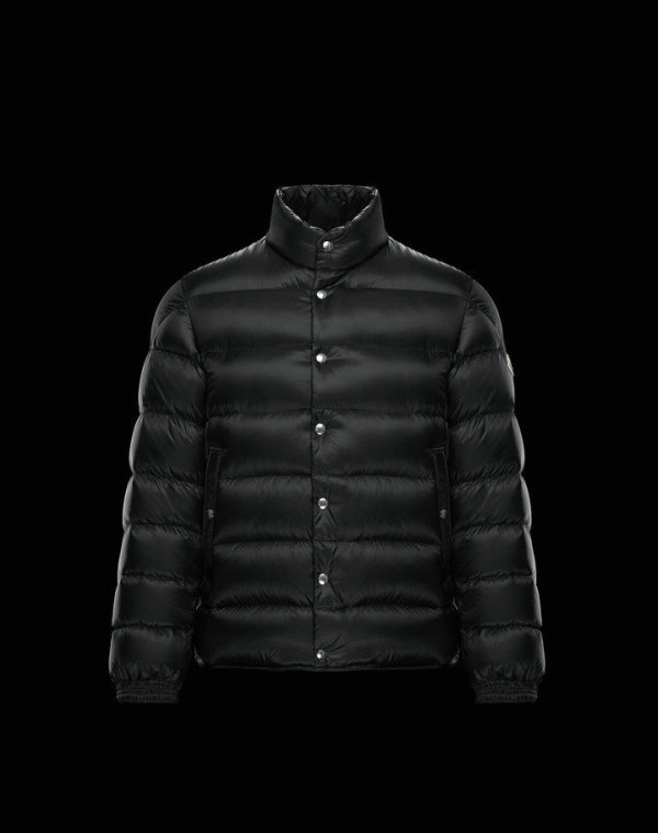 Moncler Down Jacket (45)