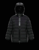 Moncler Down Jacket (33)
