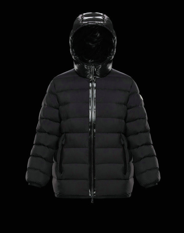Moncler Down Jacket (33)