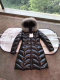 Moncler Down Jacket (63)