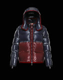 Moncler Down Jacket (7)