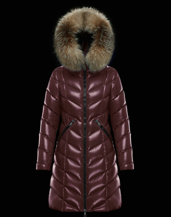 Moncler Down Jacket (79)