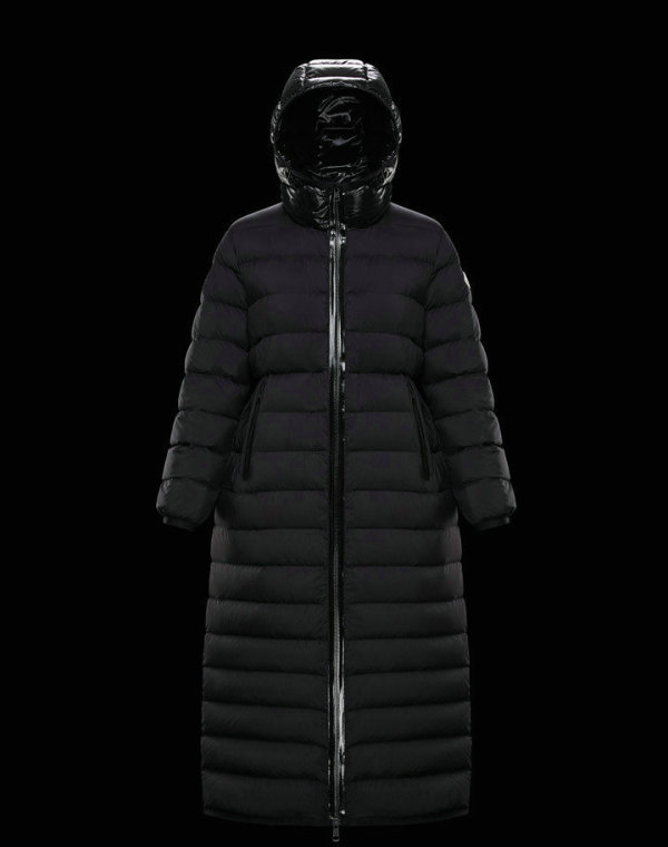 Moncler Down Jacket (77)