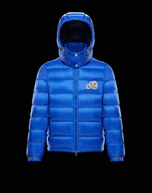 Moncler Down Jacket (52)