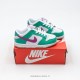 Nike SB Dunk Kid Shoes (34)