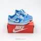 Nike SB Dunk Kid Shoes (39)