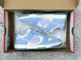 Authentic Nike Dunk Low “Blue Canvas”