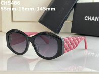 CHNEL Sunglasses AAA (559)