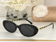CHNEL Sunglasses AAA (109)