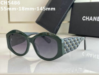 CHNEL Sunglasses AAA (266)