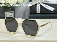CHNEL Sunglasses AAA (74)