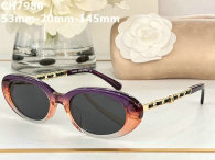 CHNEL Sunglasses AAA (218)