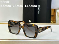 CHNEL Sunglasses AAA (67)