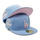Los Angeles Dodgers hat (14)