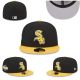 Chicago White Sox hat (27)