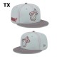 NBA Miami Heat Snapback Hat (723)