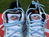 Authentic Nike Dunk Low Canard Delave/White/Washed Teal