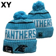 NFL Carolina Panthers Beanies (48)