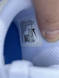 Authentic Nike Dunk Low Kid Blue/White
