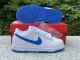 Authentic Nike Dunk Low Kid Blue/White