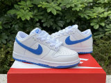 Authentic Nike Dunk Low Kid Blue/White