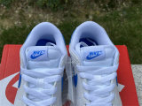 Authentic Nike Dunk Low Kid Blue/White