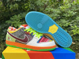 Authentic Nike Dunk Low
