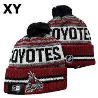 NHL Phoenix Coyotes Beanies (2)
