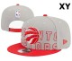 NBA Toronto Raptors Snapback Hat (108)
