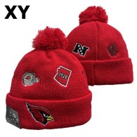 NFL Arizona Cardinals Beanies (35)