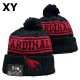 NFL Arizona Cardinals Beanies (33)