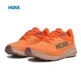HOKA ONE ONE® Challenger 7 GTX (2)
